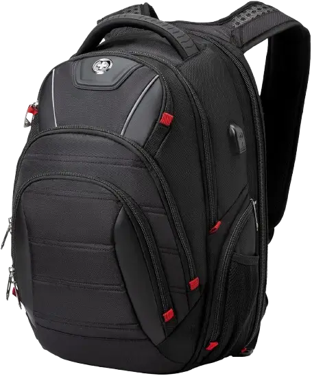 Swissdigital Design Travel Backpack for men,