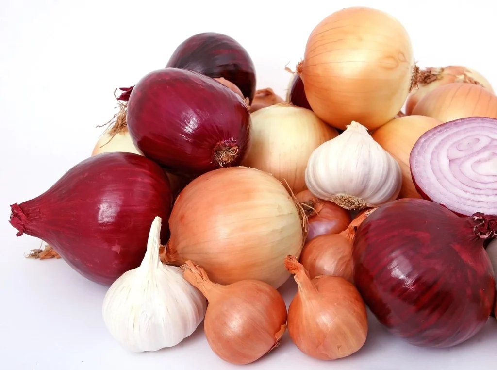 how to store onions to last longer 1